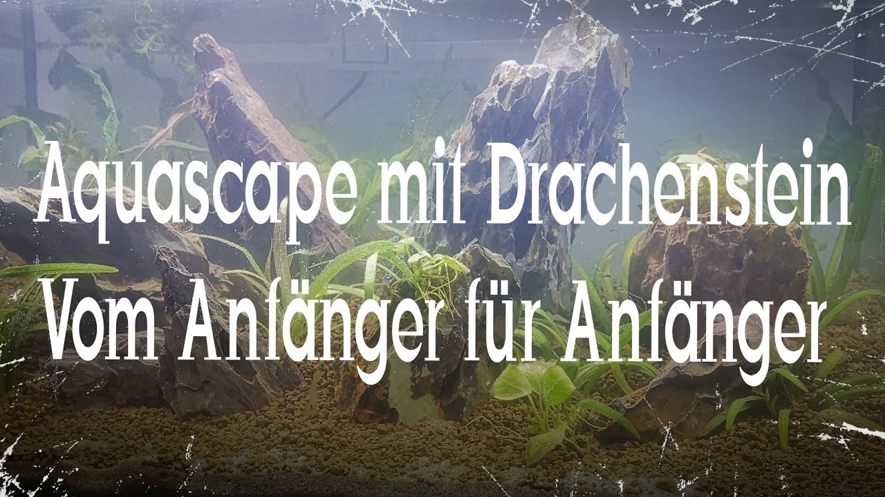 Aquascape Drachenstein f&uuml;r Koi Guppy (Dragonstone) w&uuml;rde das f&uuml;r Zoobox battle reichen? #aquarium