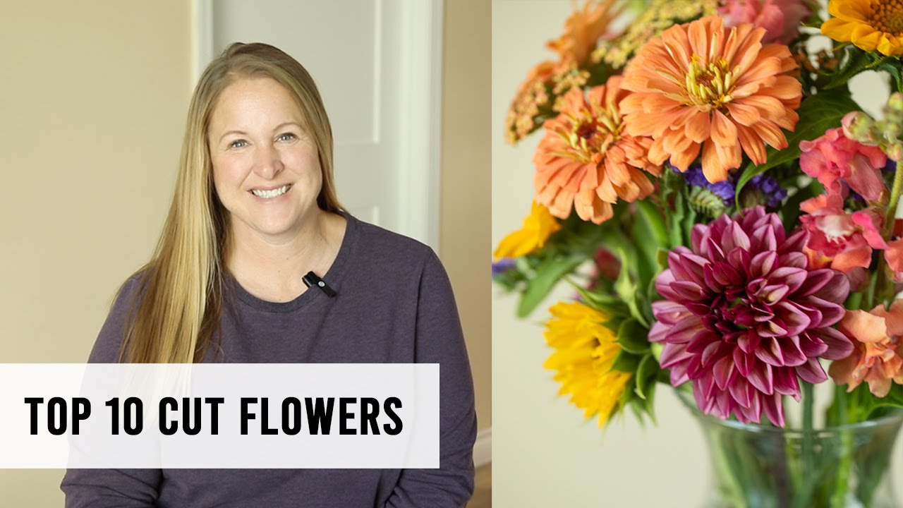 My Top Ten Cut Flowers to Grow for Bouquets - Sunshine and Flora Urban Flower Farm, Zone 5A, Iowa