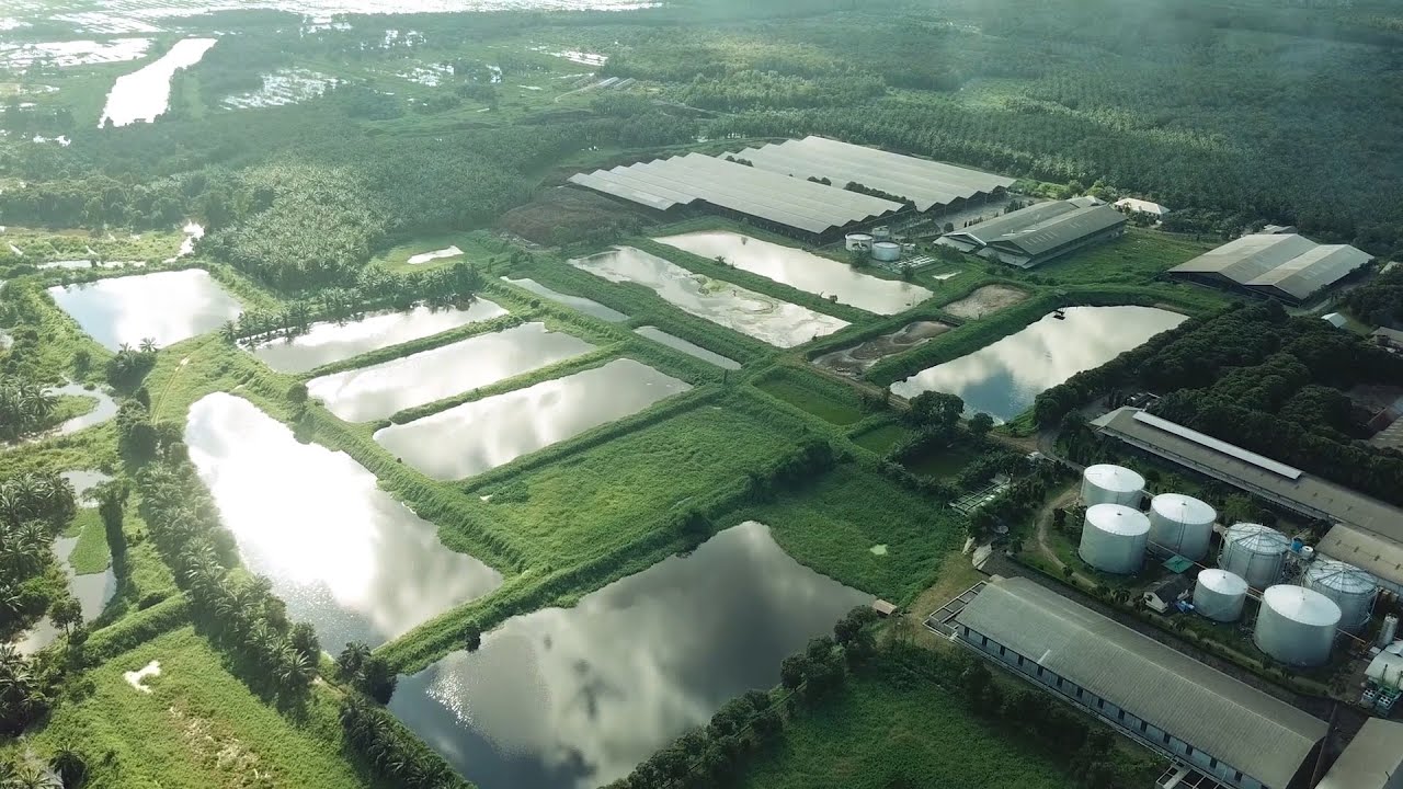 PT Pinago Company Profile 2020
