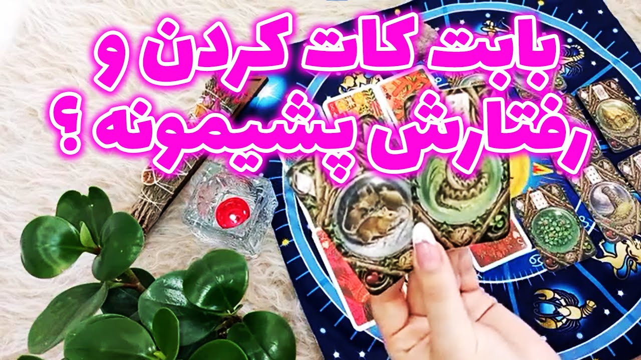 فال لیلیت - بابت کات کردن و رفتارش پشیمونه ؟