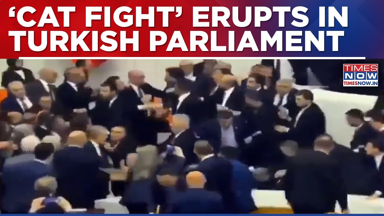 Turkish Parliament Descends Into Fistfight As Lawmakers Clash Over New Law Minister Appointment