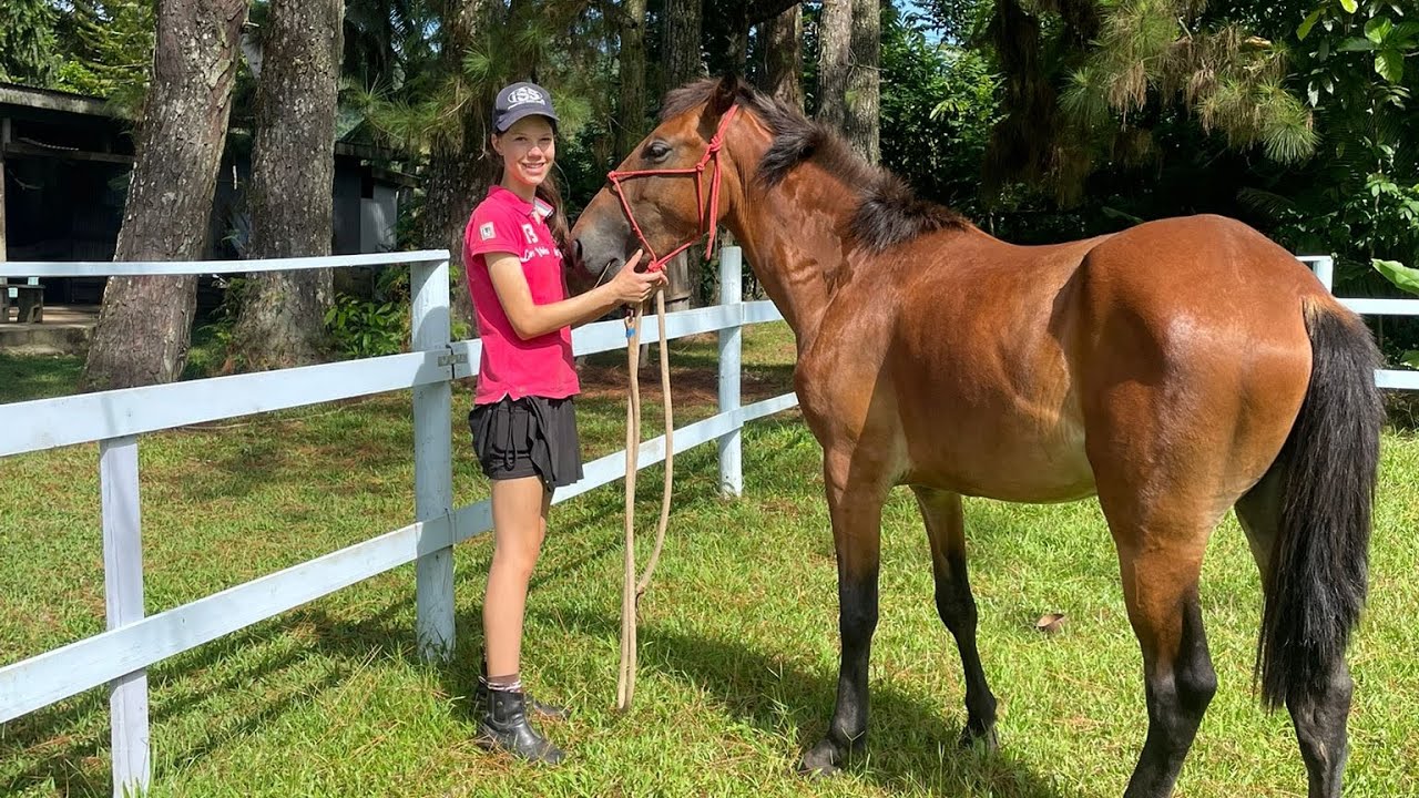 MEET MY NEW HORSE!! | +horse rescue vlog