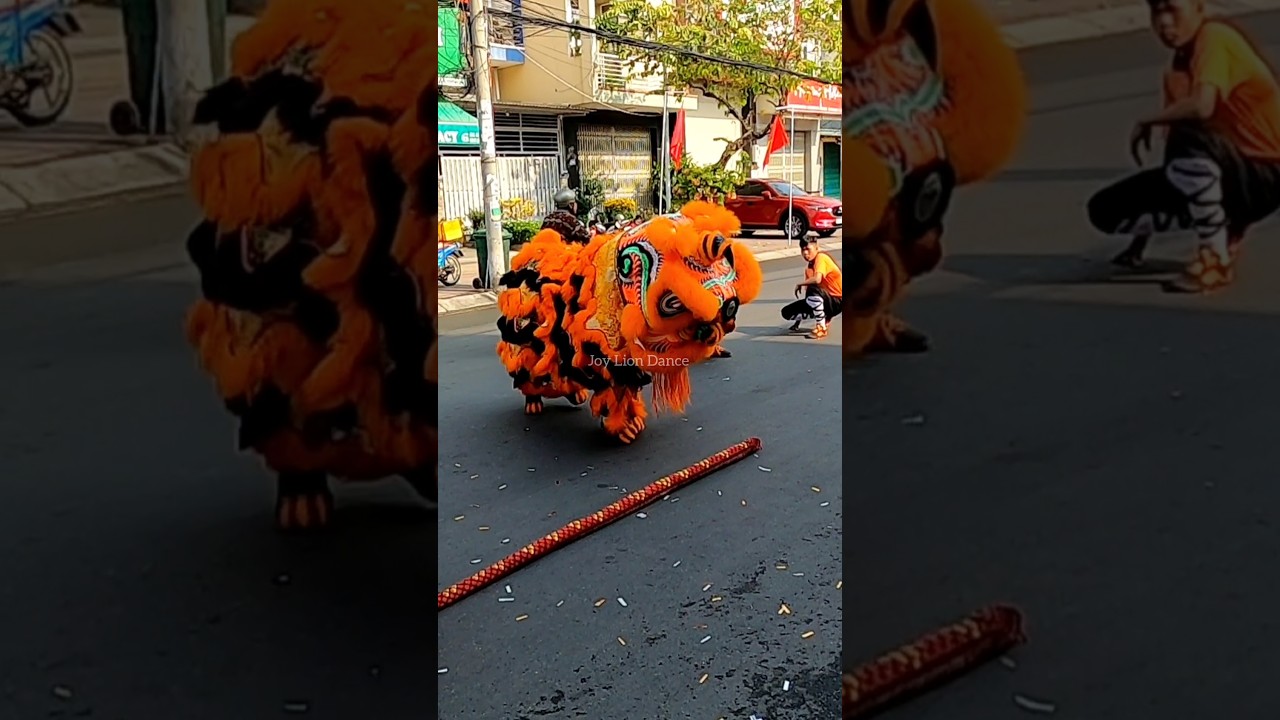 M&uacute;a L&acirc;n Ti&ecirc;u Diệt Rắn Khổng Lồ #mualantet #mualan #lansurong #shorts #liondance #skibiditoilet