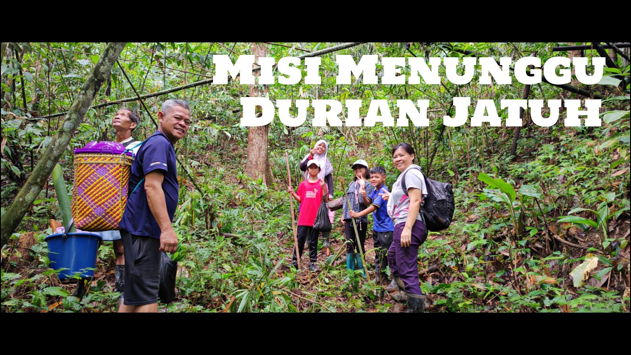 Menunggu Durian Jatuh Sambil Masak Pansuh & Mandi Air Terjun