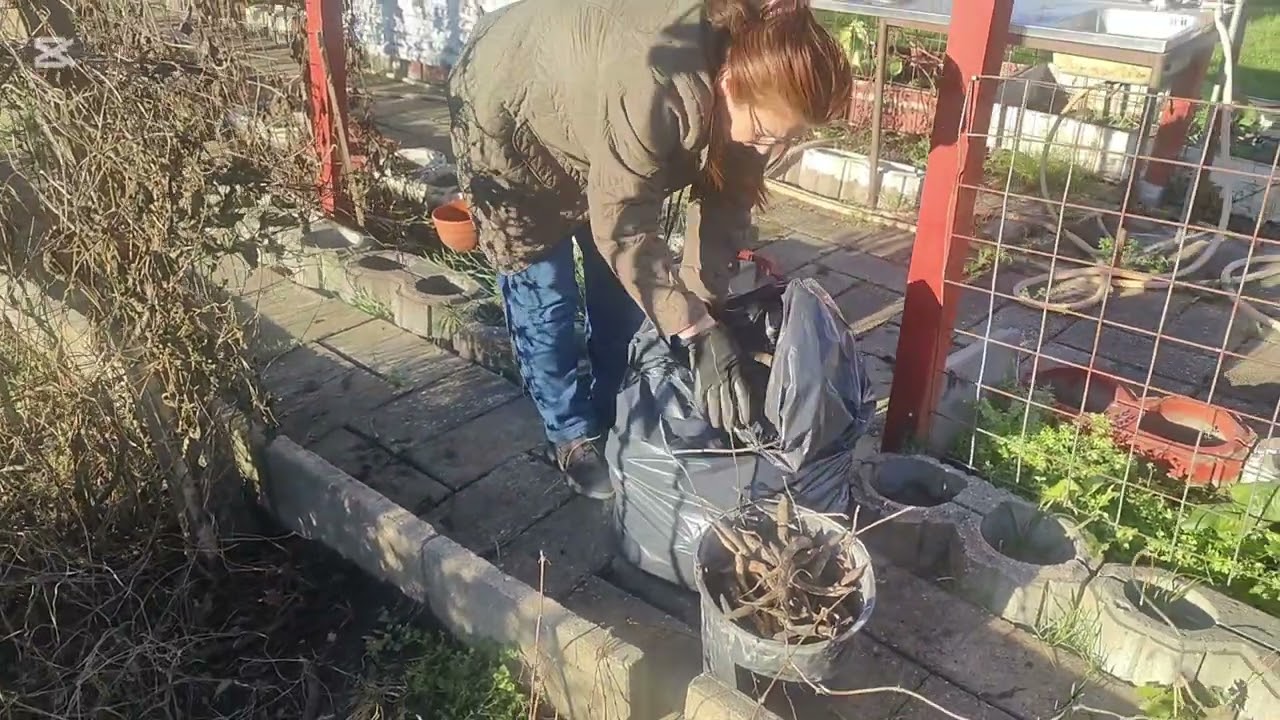 راحين نحوش عيشه خانوم في مزرعة 