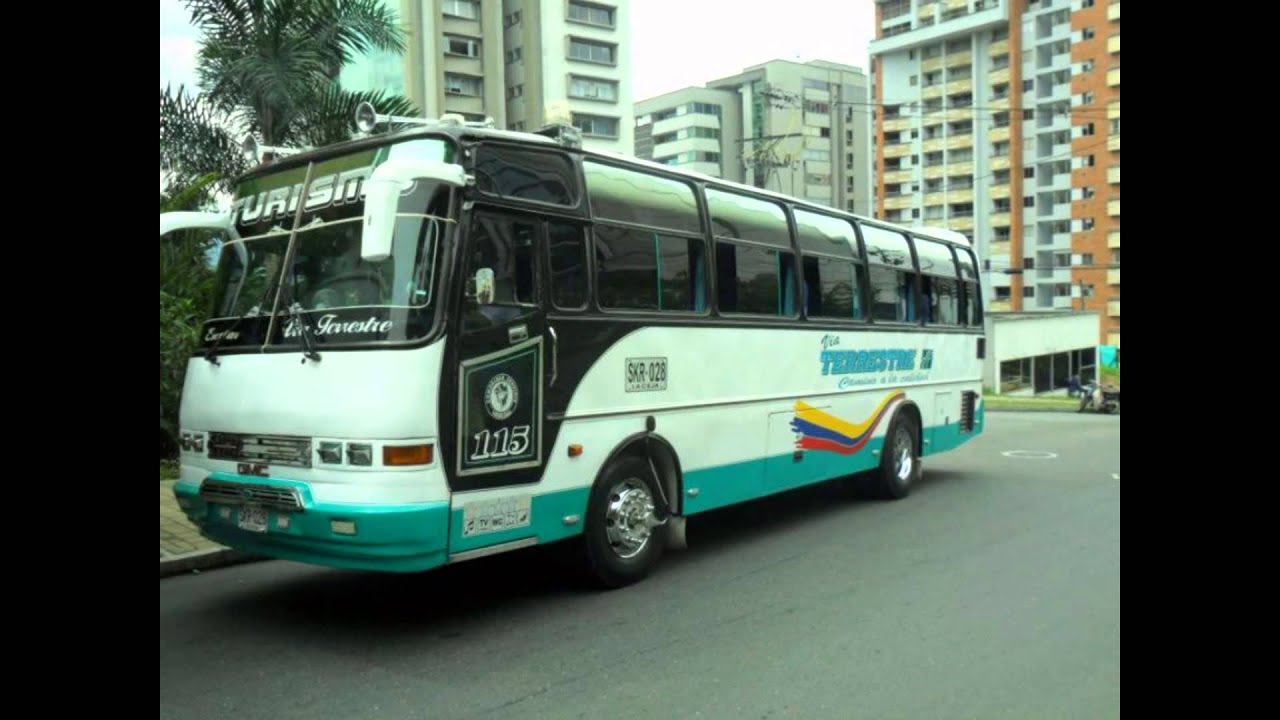 buses clasicos de servicios especiales