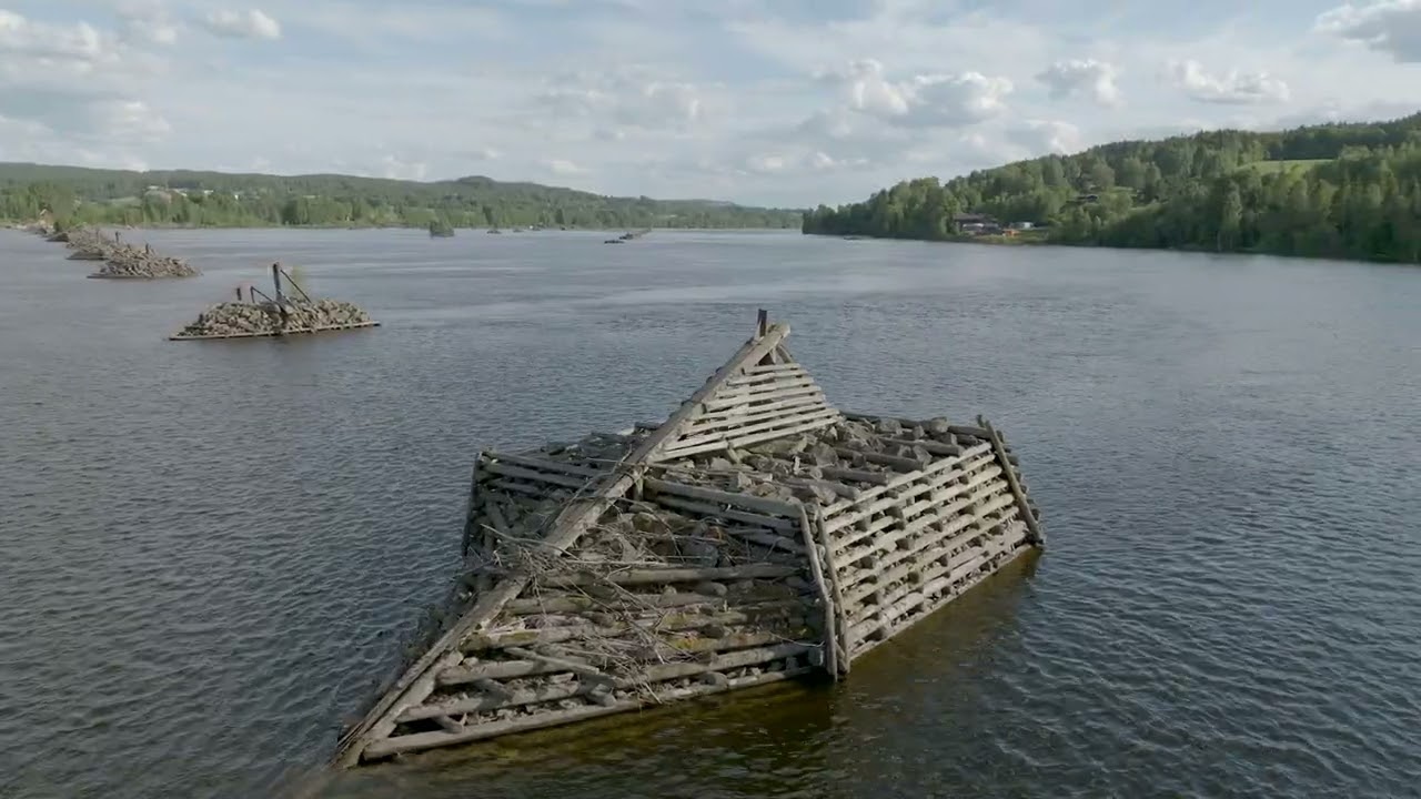 Bingen Lenser | Norway June 2022