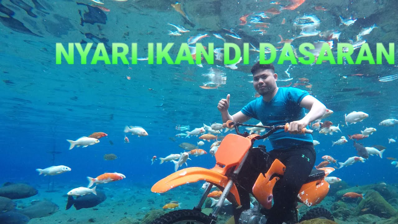 NYARI IKAN DI DASARAN