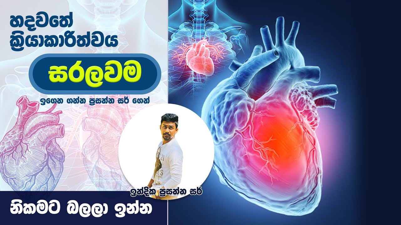 හදවතේ ක්‍රියාකාරිත්වය hadawathe kriyakarithwaya