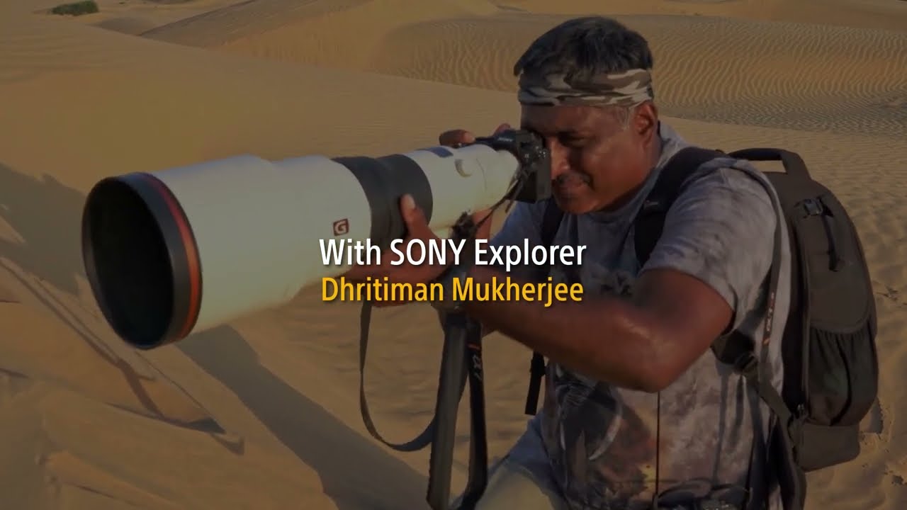 Wildlife at the Desert National Park | Dhritiman Mukherjee