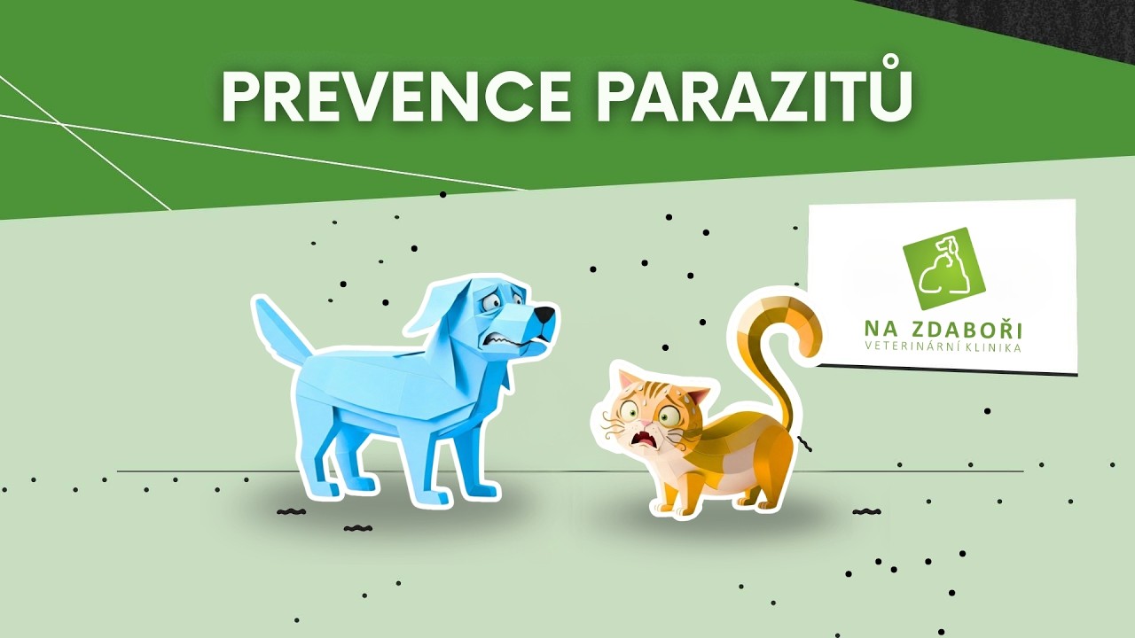 Nenechte parazity, aby si z vašeho mazlíčka udělali svůj trvalý domov!