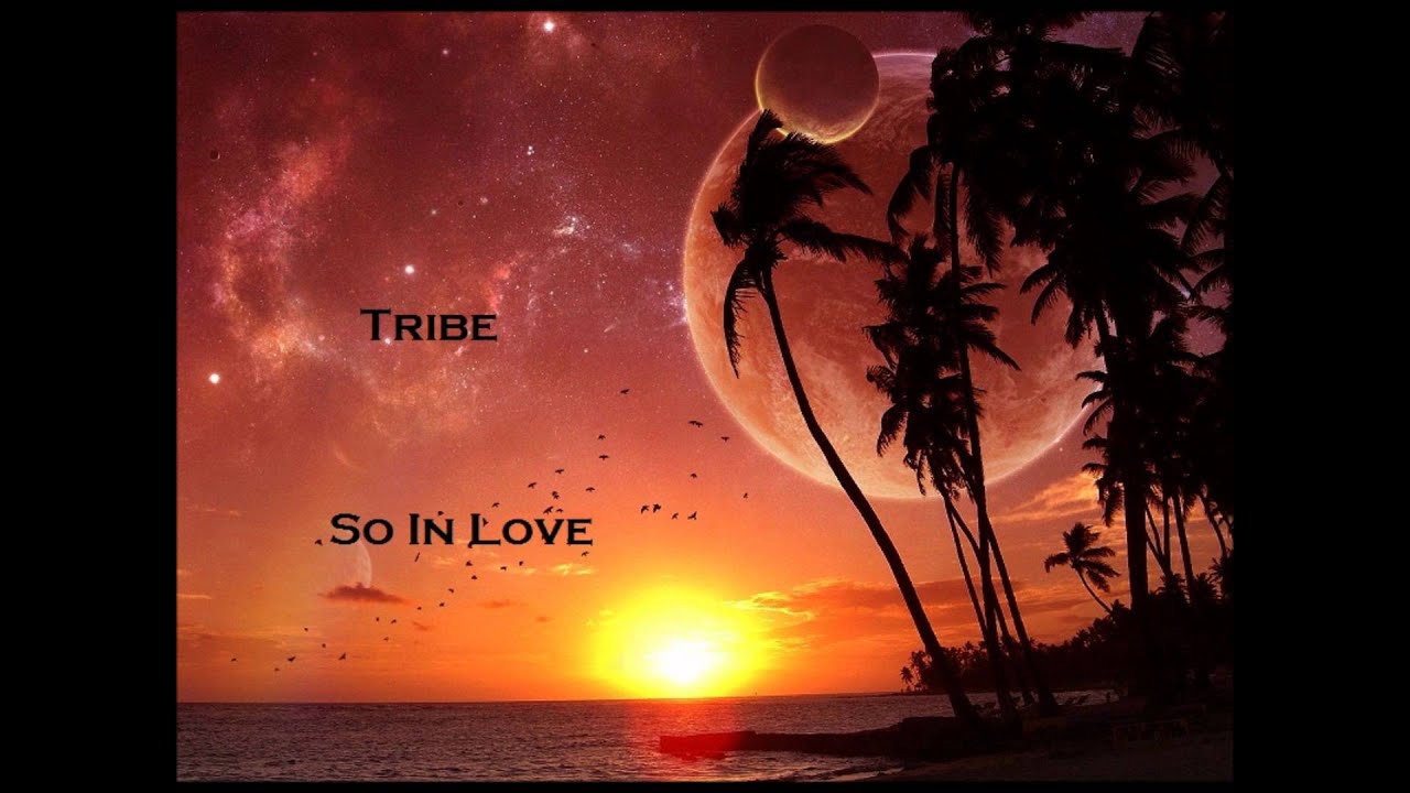 Tribe - So In Love