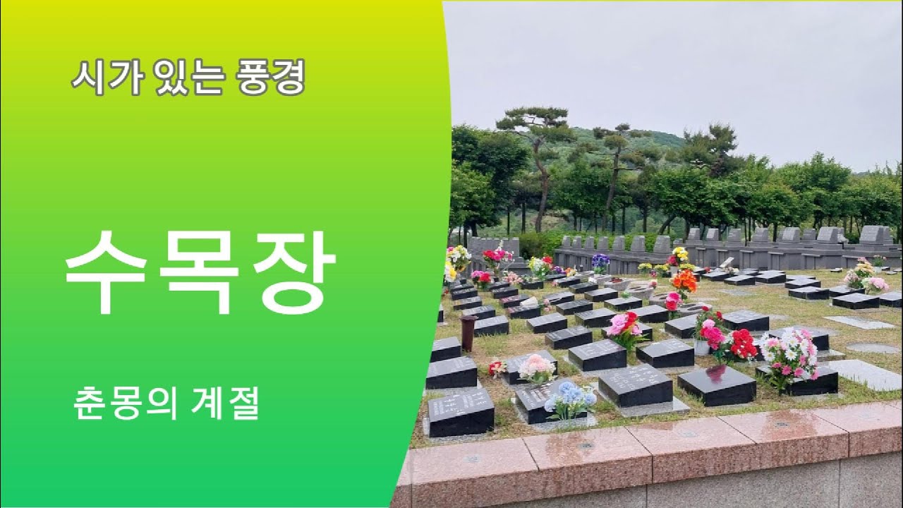 시가 있는 풍경3_수목장(안영선)  #시집추천 #문학소년 #국어문학 #문학의오늘_신인상_대상  #안영선 #춘몽은_더_독한_계절이다 #수목장
