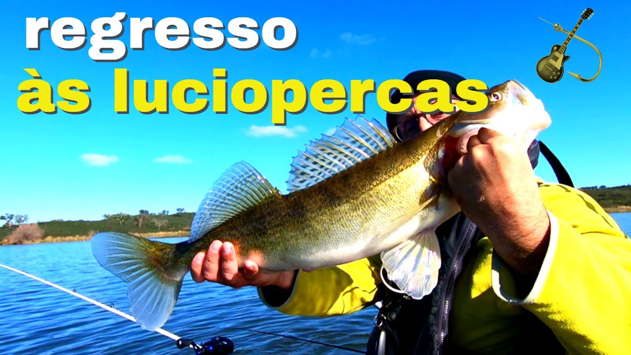 regresso às luciopercas | 2025