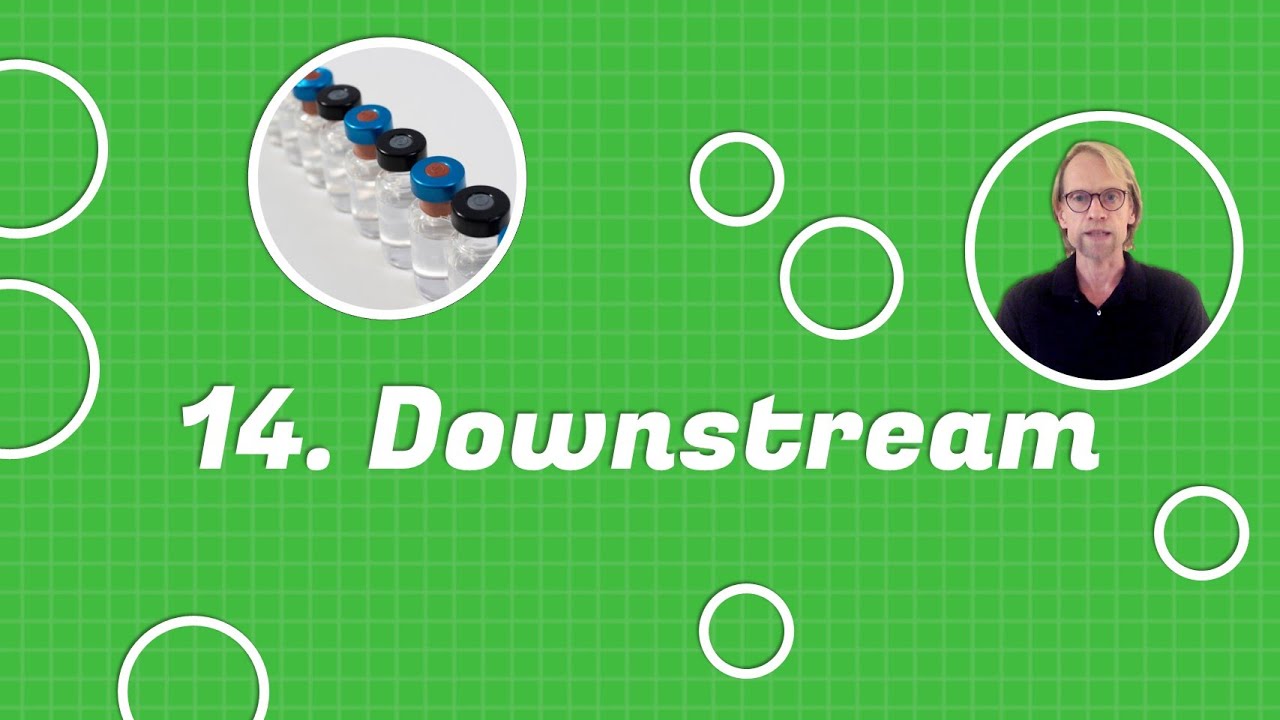 14. Downstream (Curso de Engenharia de Bioprocessos)