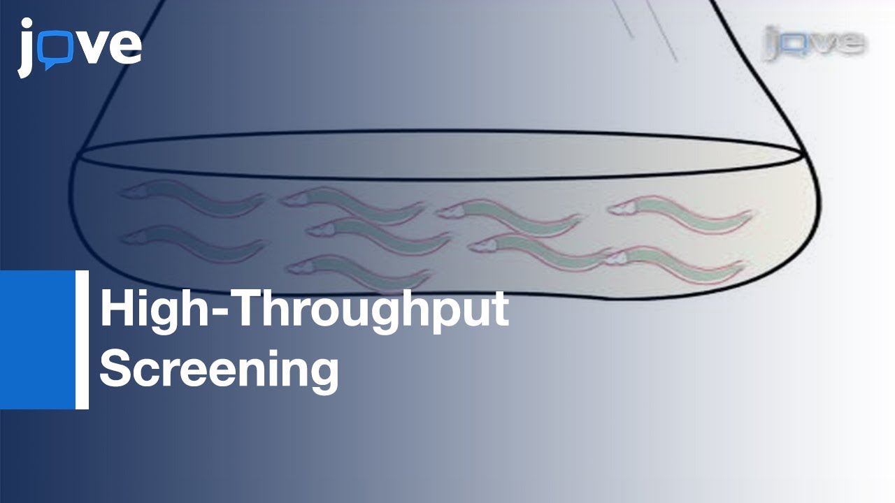High-Throughput Screening and Biosensing With Fluorescent C. elegans Strains l Protocol Preview