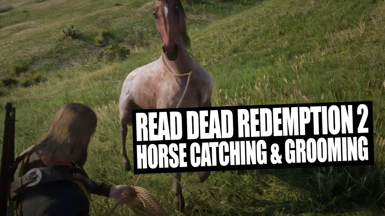 Red Dead Redemption - Du och din häst