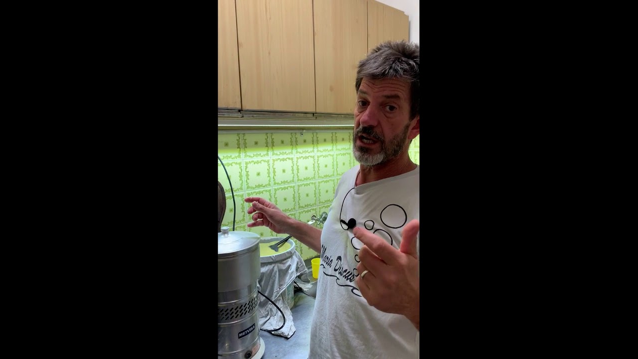 ALIMENTACION PEZ DISCUS - PART.3