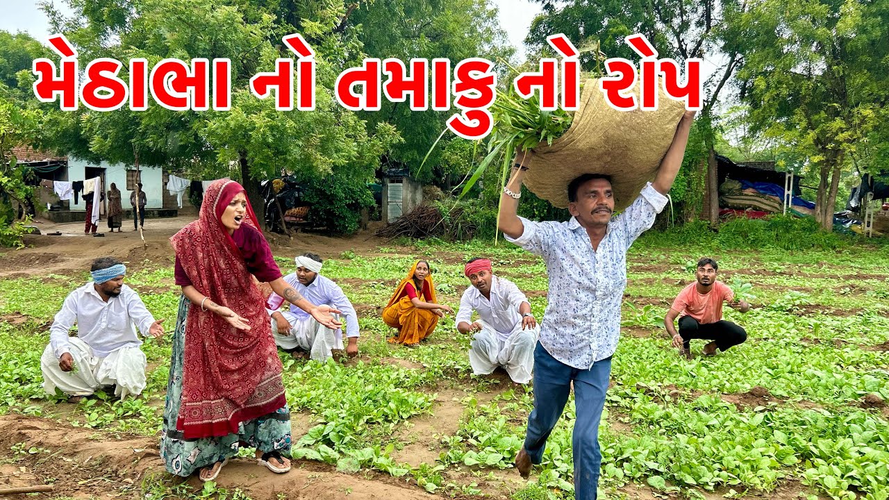 મેઠાભા ના ખેતરમાંથી તમાકુ નો રોપ ચોરાયો | Methabha Comedy | Gujarati Comedy 