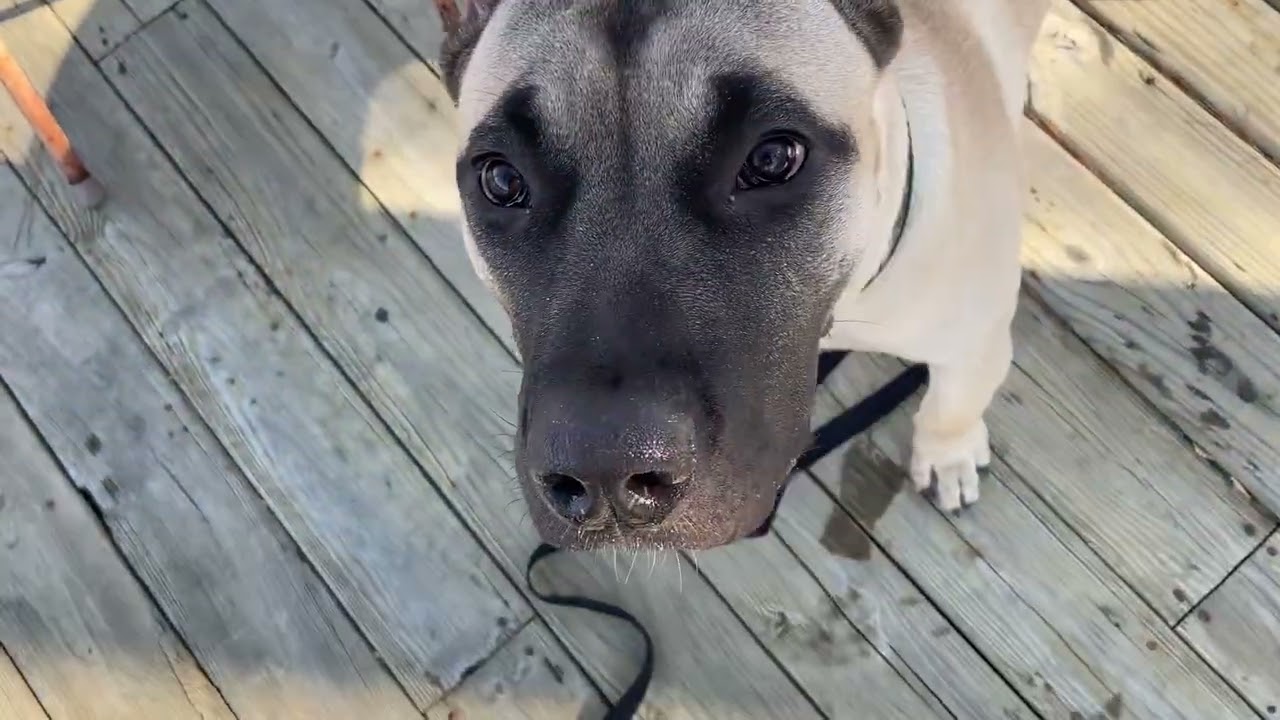 A Old Video 