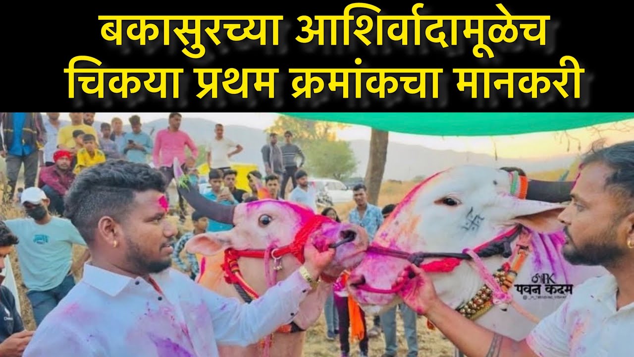 बकासुरच्या आशिर्वादामूळेच  चिकया प्रथम क्रमांकचा मानकरी - अजित शेठ जगताप 