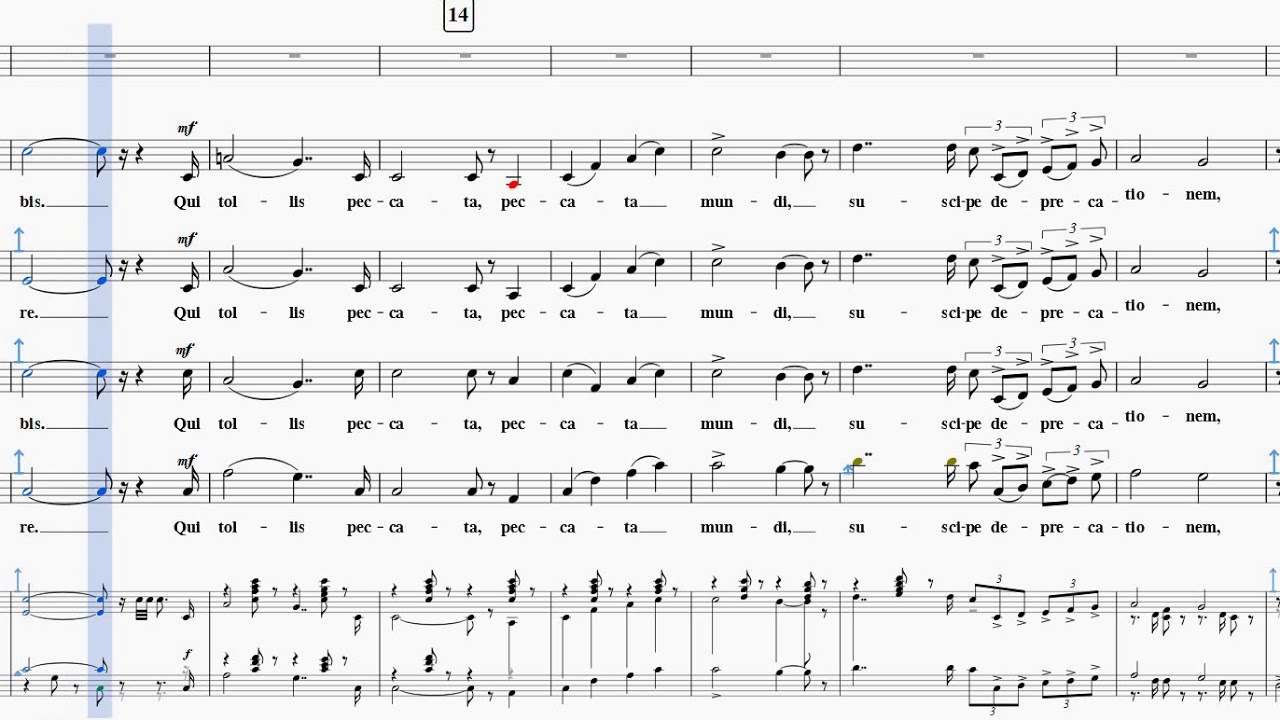 Puccini Gloria Alto 80% Tempo