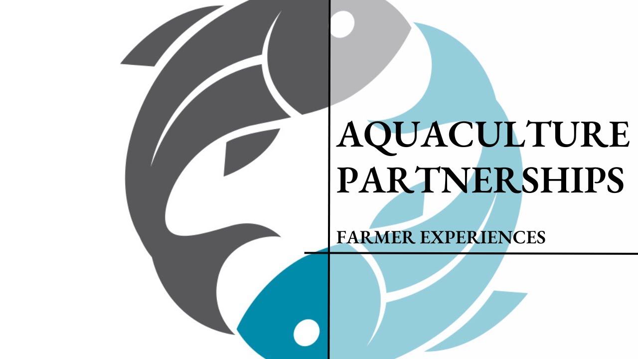 Working with Aquaculture Partners, Farmers Experience