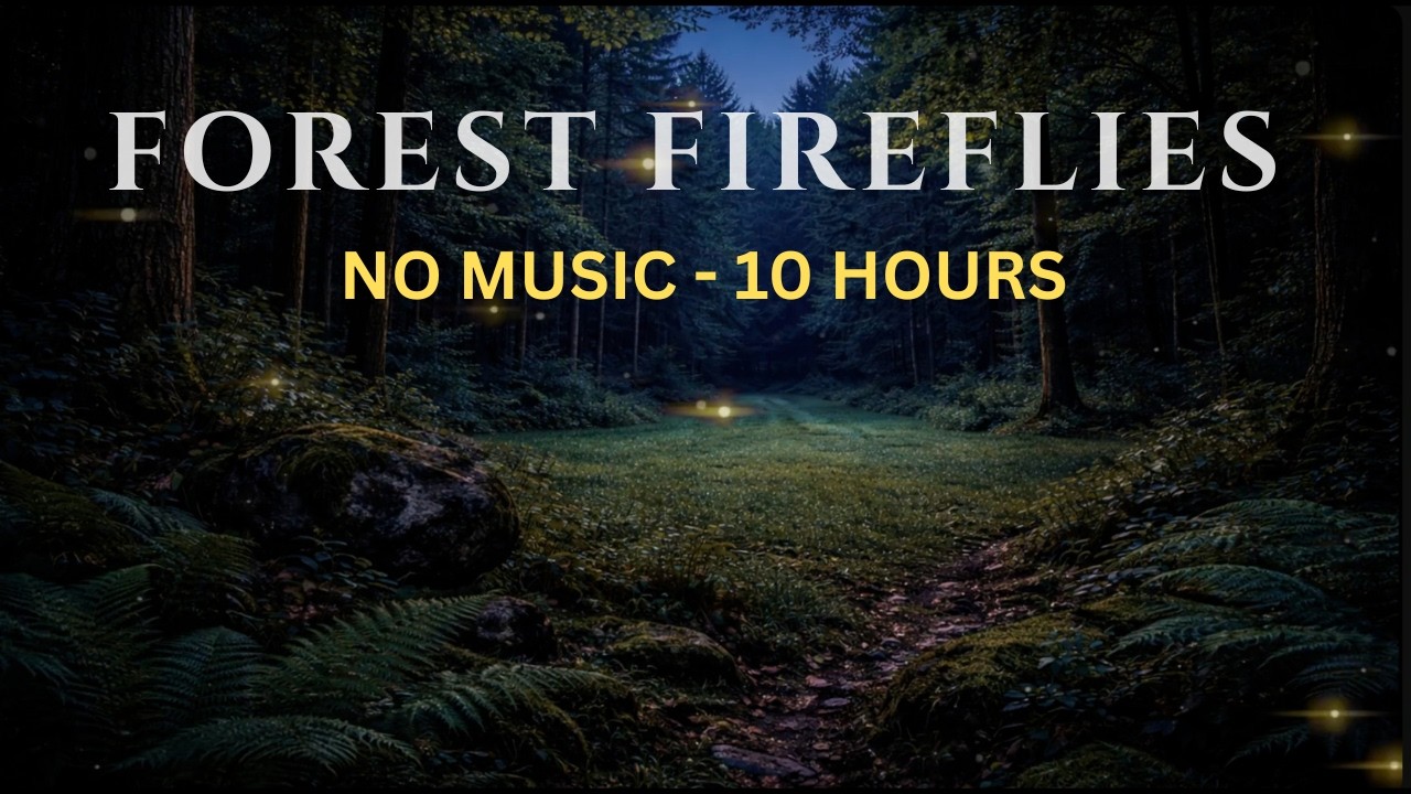 Night Forest Fireflies — No Music, 10 Hours (Deep Sleep)