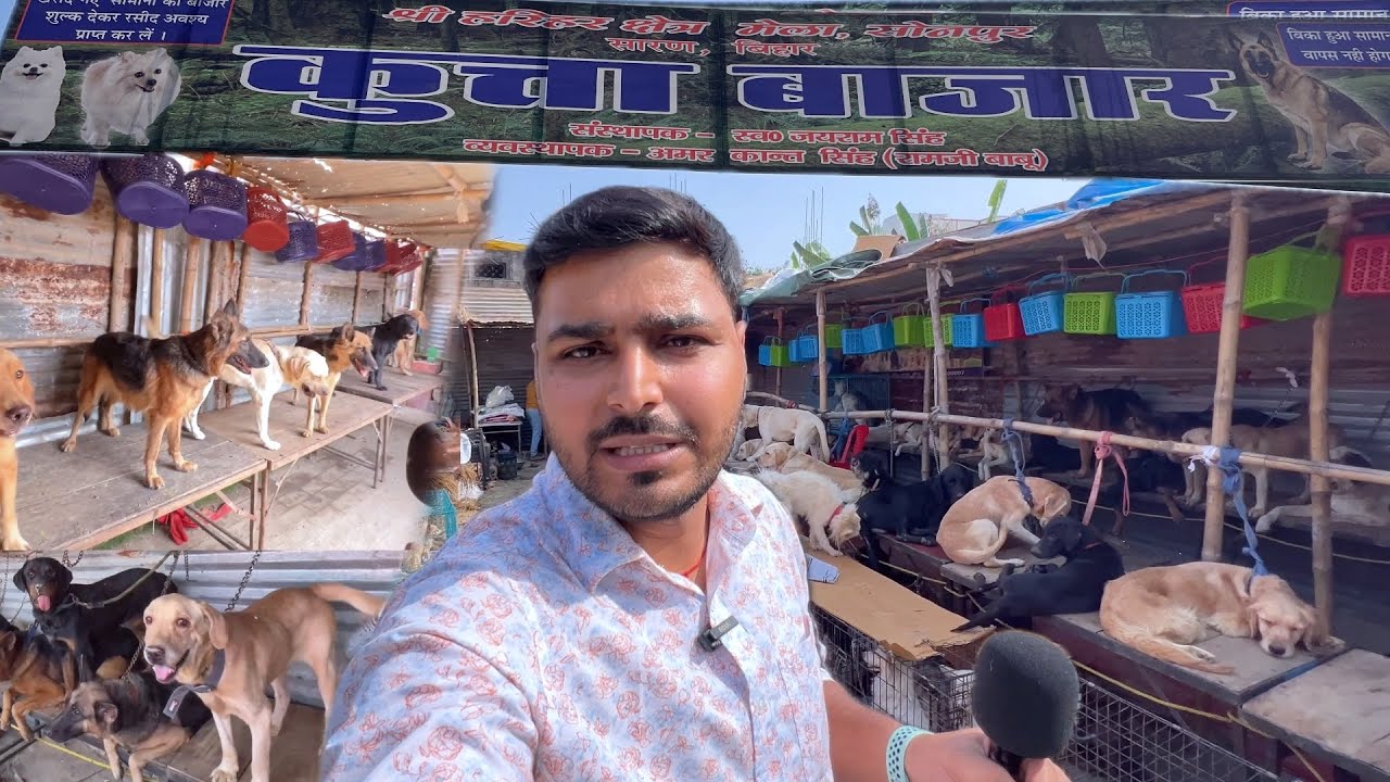 Sonpur Mela Dog Market 2024 All Breed & price In details