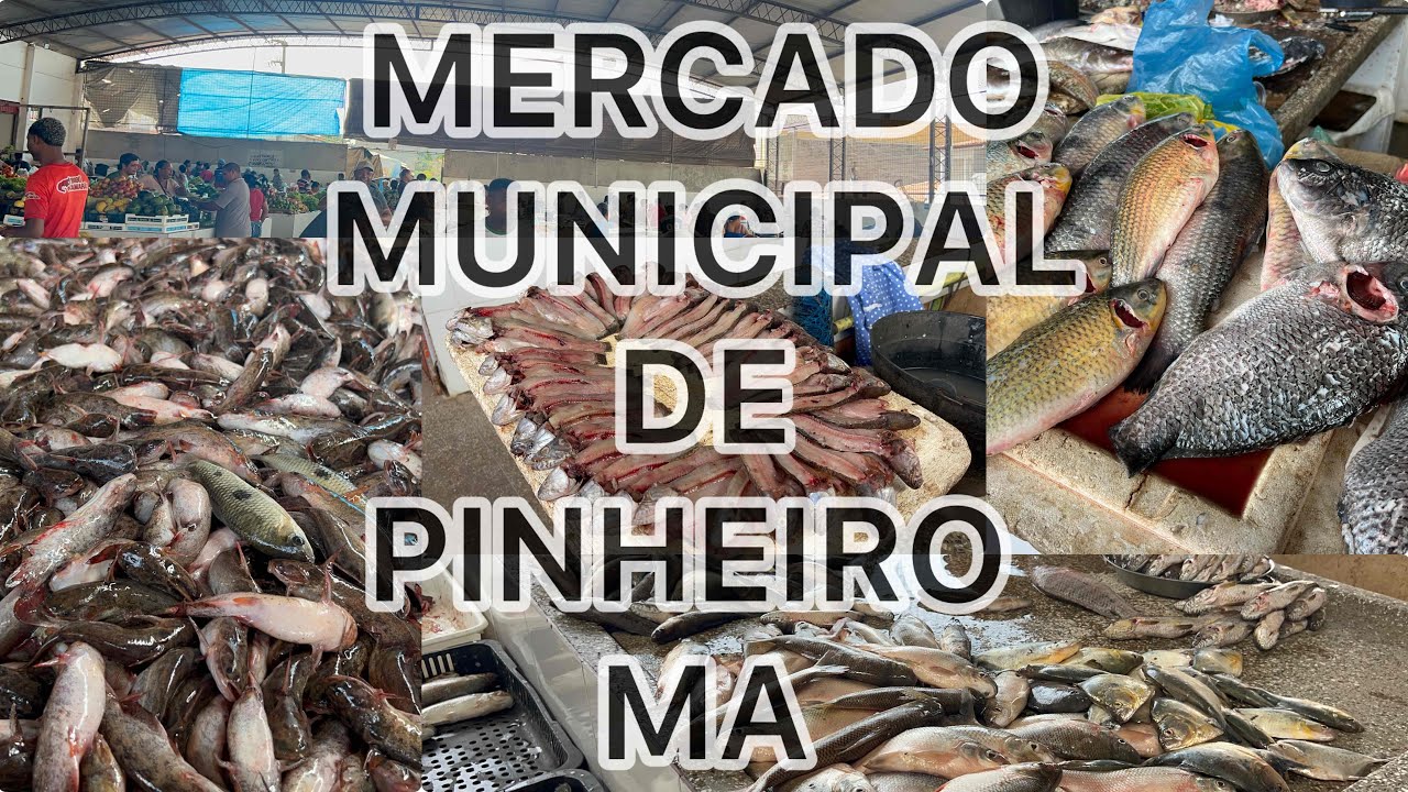 FEIRA MUNICIPAL DE PINHEIRO NO MARANH&Atilde;O | DE ONDE VOC&Ecirc; ASSISTE? 