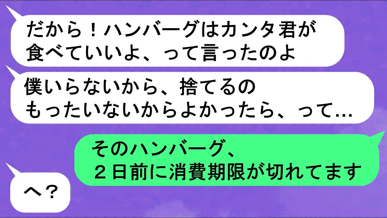 【LINE】「やっていることは泥棒と変わりませんよ？」➤期限切れの食材をゴミと言って盗む掃除代行者➤「今日、お腹痛いからや済ませれくれる？」➤お腹を壊した原因は、意外な人が起こした”行動”【スカッと】