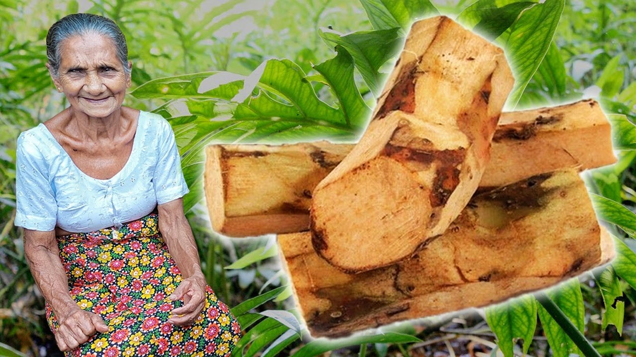 Lasia spinosa roots curry with coconut milk! Kohila Roots Curry, healthy rural recipe | Grandma Menu