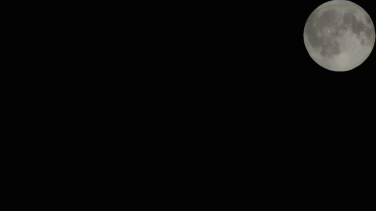 Gel Beni Kurtar