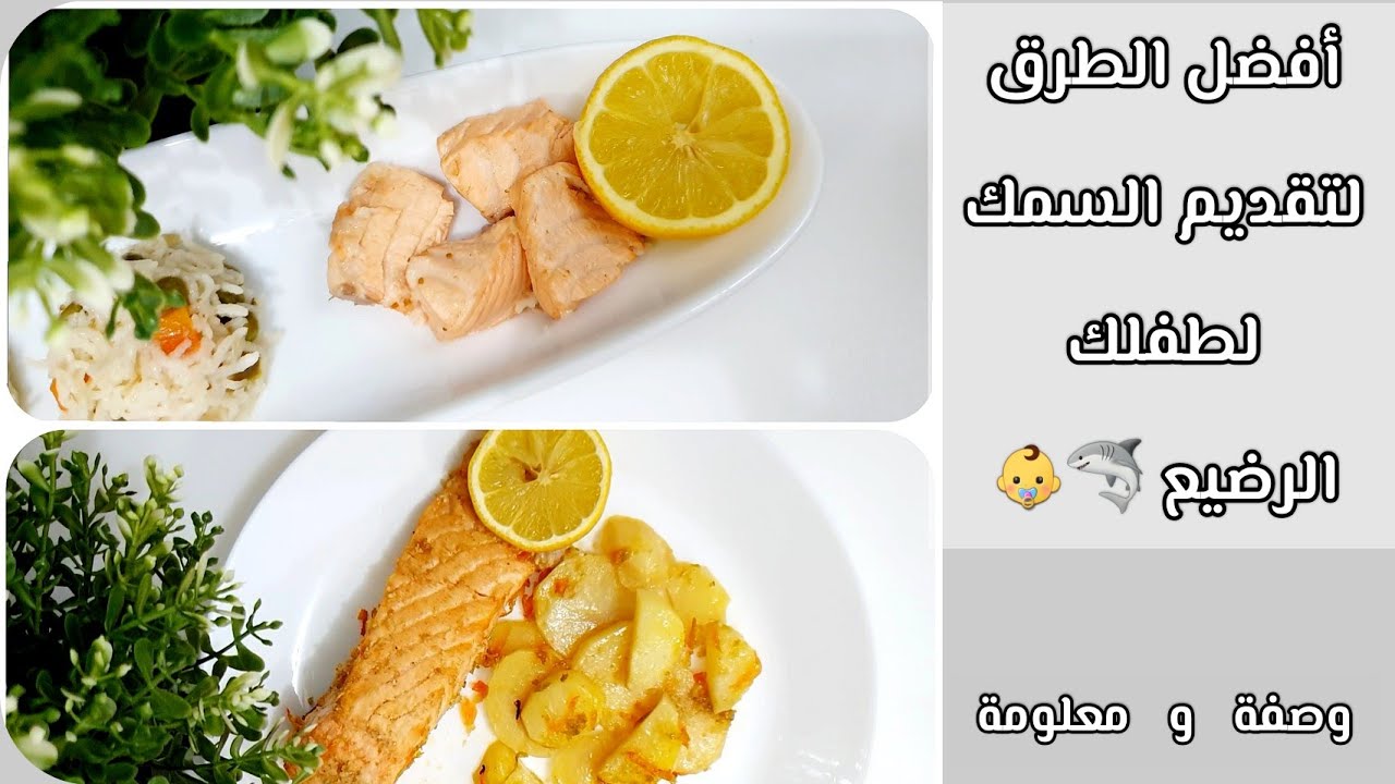 أفضل الطرق لتقديم #السمك للطفل الرضيع 👶🐡 واجابة لكل اسئلتك #وصفةومعلومة fish for babies
