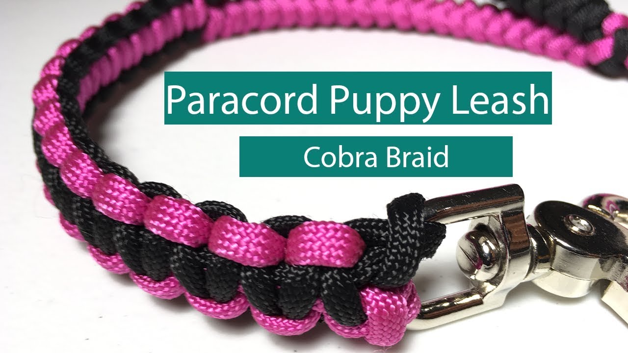 DIY Paracord Puppy Leash - Cobra Braid