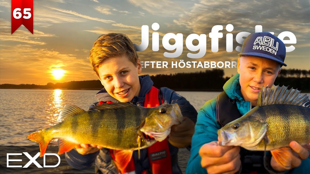JIGGFISKE EFTER H&Ouml;STABBORRE! (Davids Predatorfiske #65)