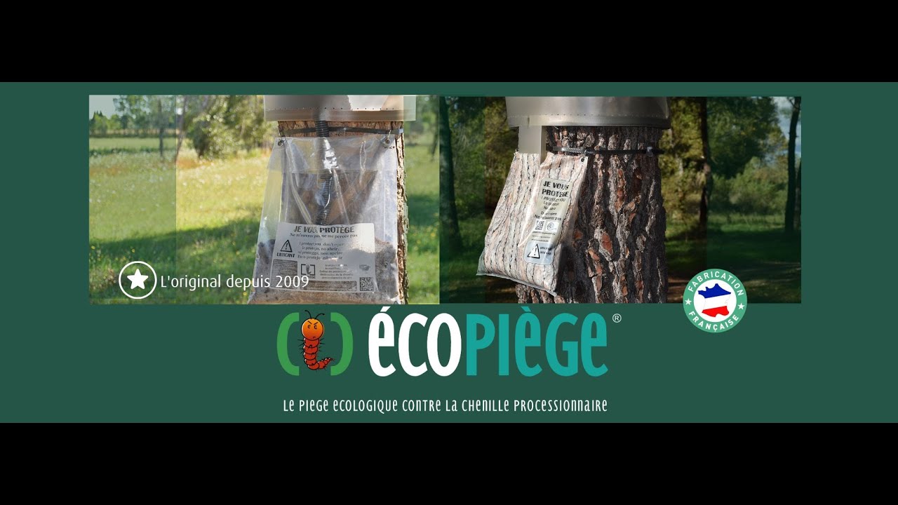 Pr&eacute;sentation du collier &Eacute;copi&egrave;ge&reg;