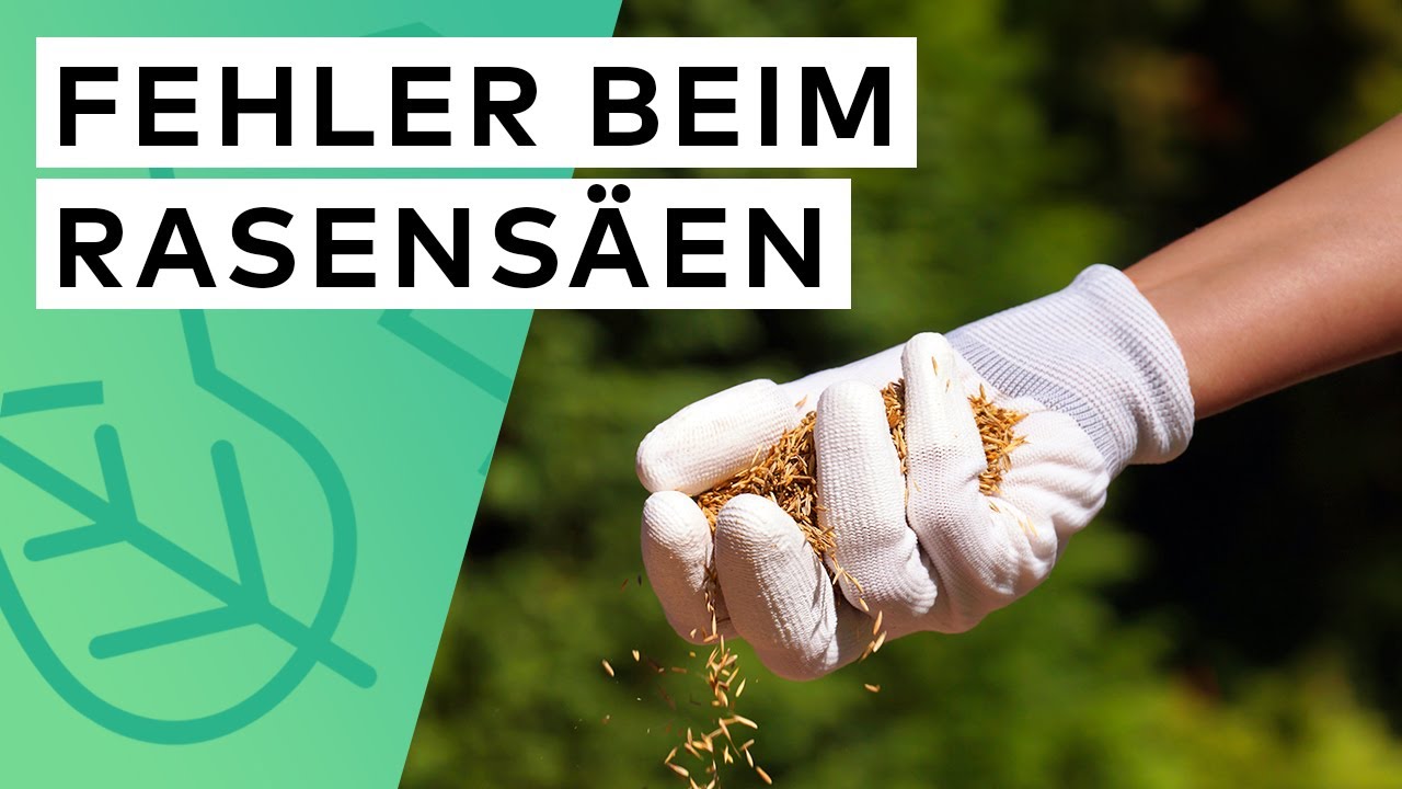 10 FEHLER beim RASEN S&Auml;EN die du unbedingt vermeiden solltest ❌ 🌱