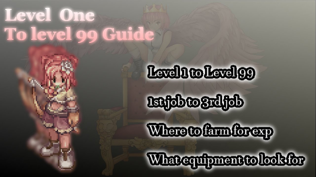 [NovaRO] Level 1 to Level 99 Guide