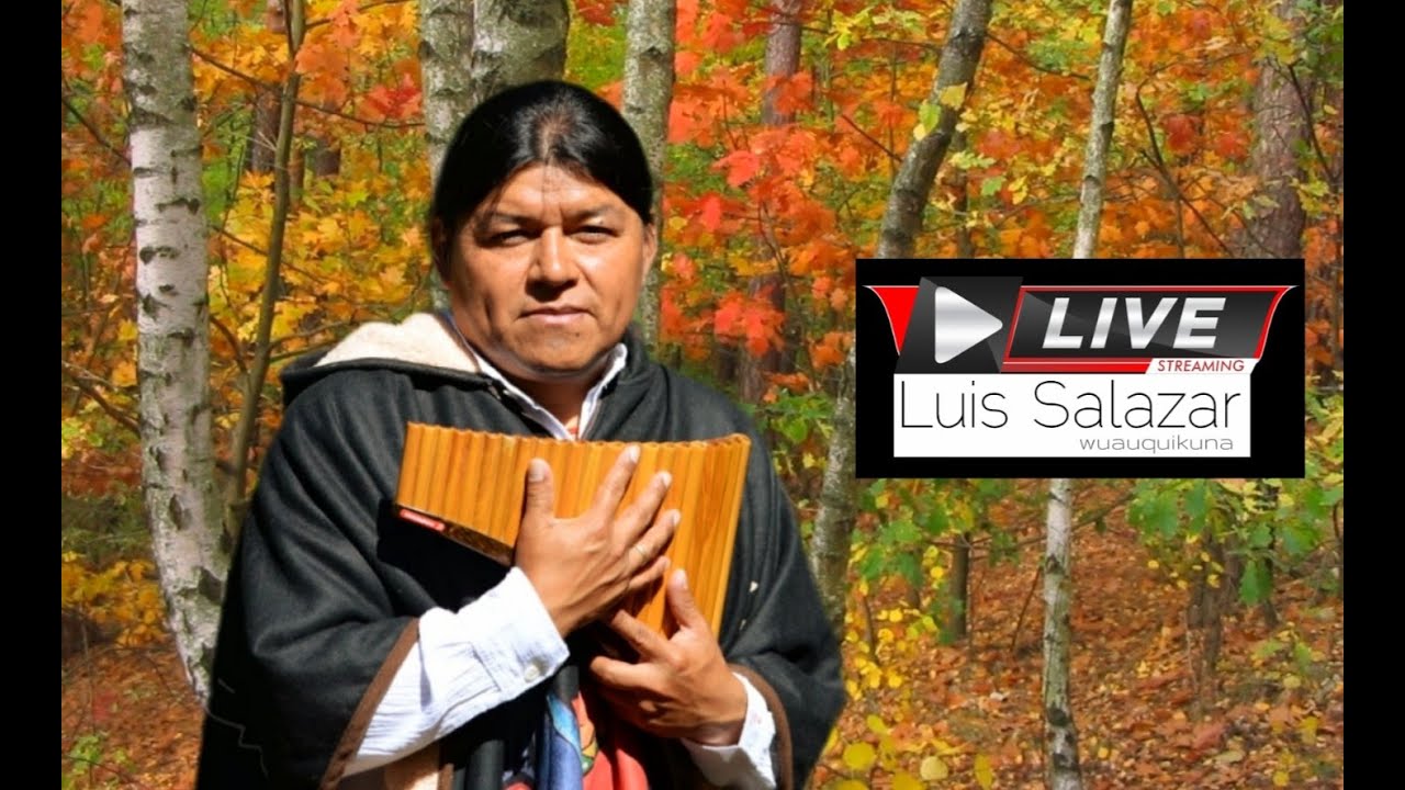 Andean bamboo for you