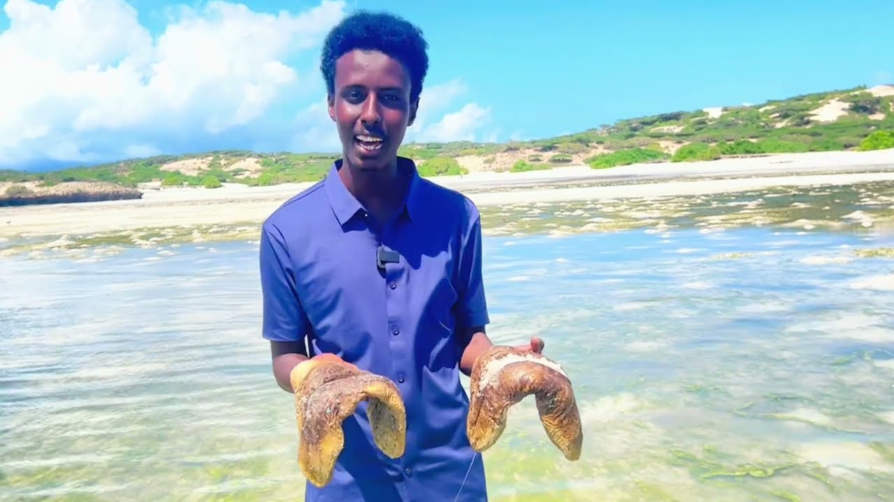 kalluunka nooca soomaalidu u taqaano 