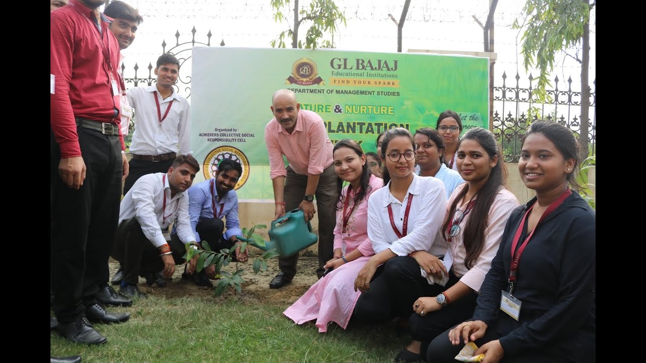 Tree Plantation Drive