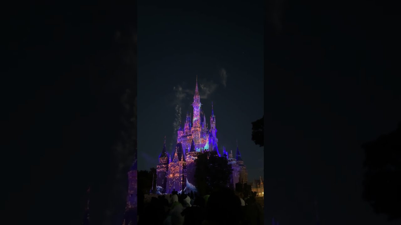 2025~Tokyo Disneyland Fireworks at Castle