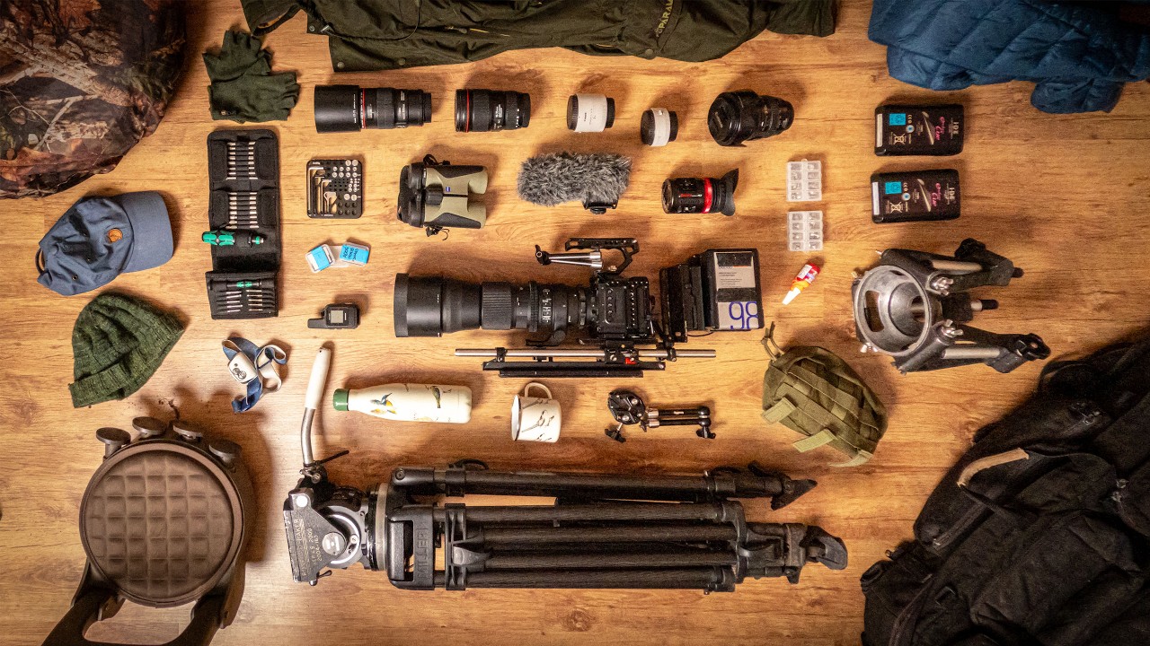 The Gear NO ONE Tells You You Need for Filming Wildlife