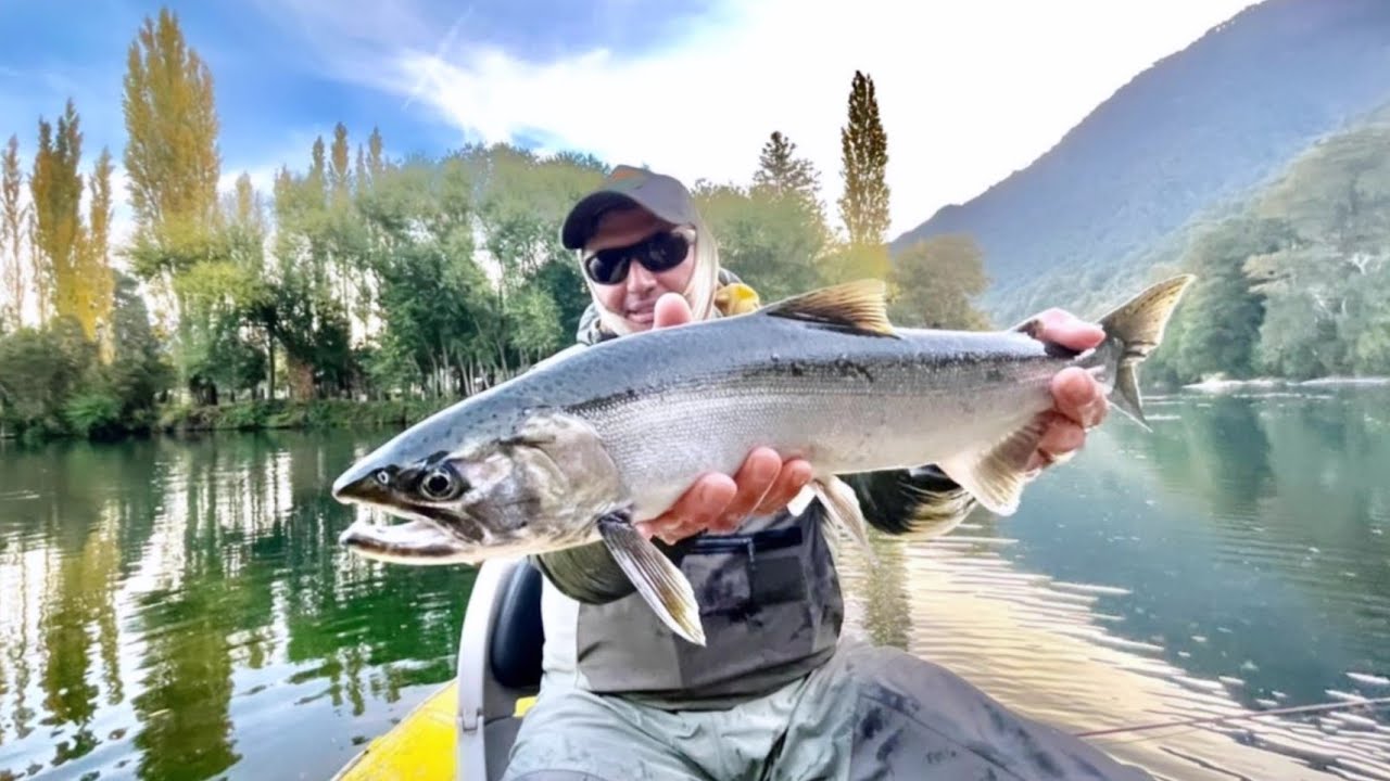 PESCA DE SALMONES COHO EN OTOÑO