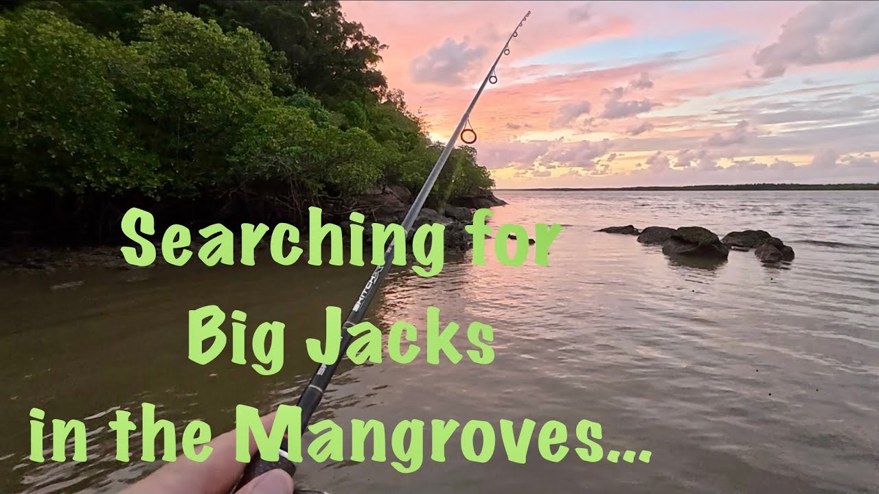Hinchinbrook: Searching for Big Mangrove Jacks…