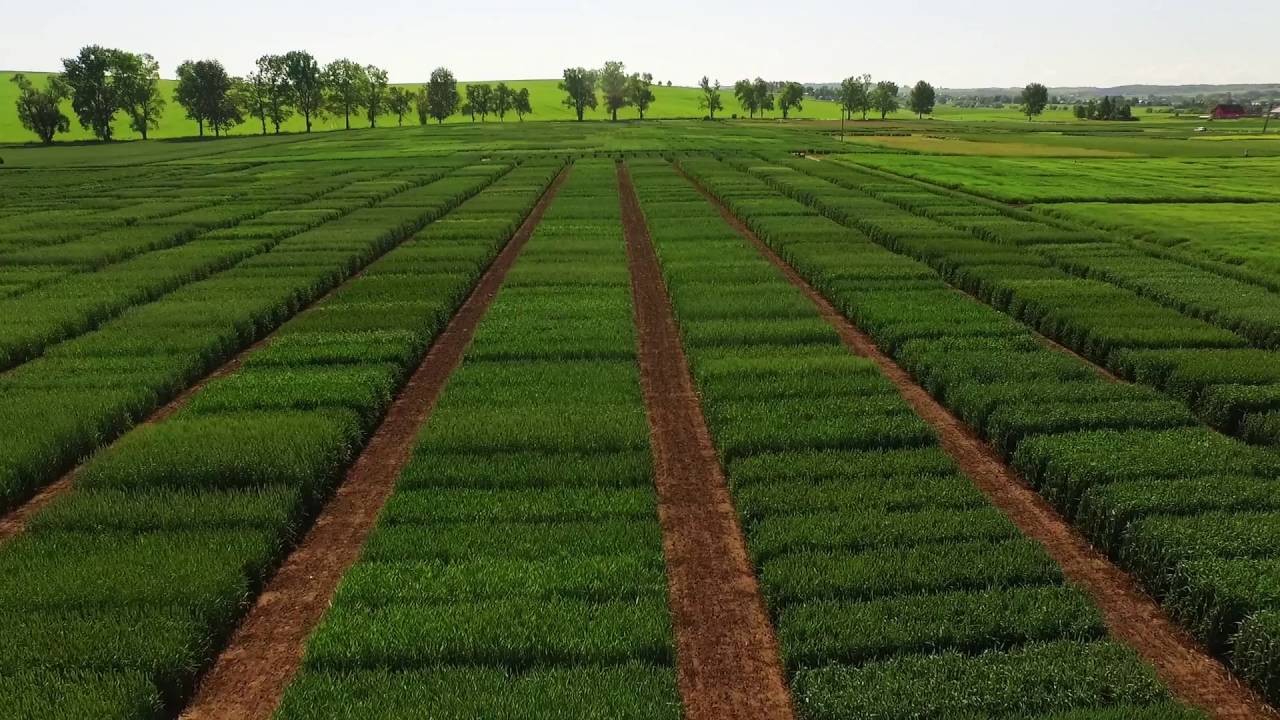 Polanowice, Widziane z powietrza