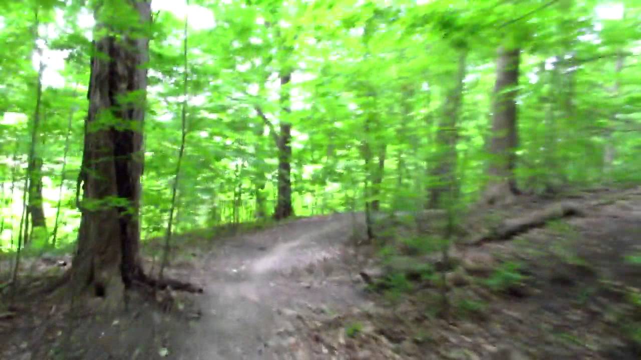 Crothers Woods trail to Don Valley Dirt Park