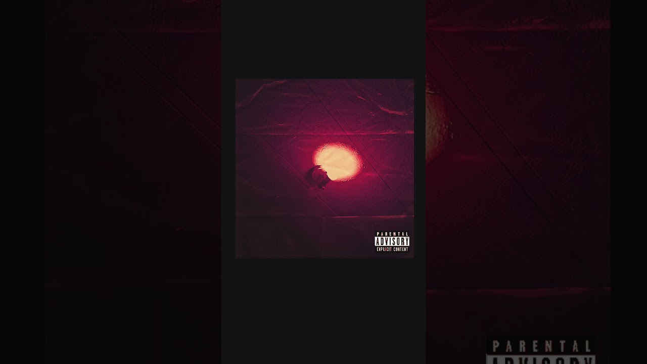 Never Grew Apart ( Official Audio)