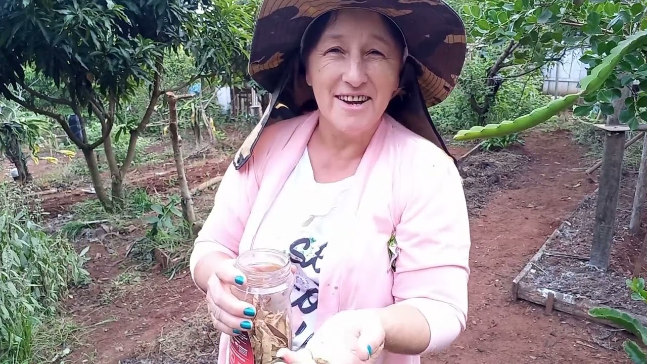 COMO PLANTAR A ERVILHA TELEFONE ALTO